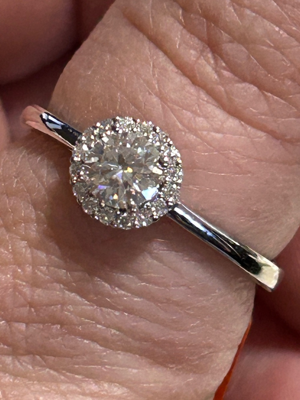 Classic Round Halo Moissanite Ring in Sterling Silver - NWT